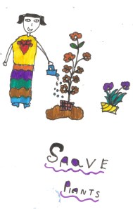 Saave Plants